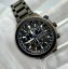 Citizen Promaster CB007-51H Radio