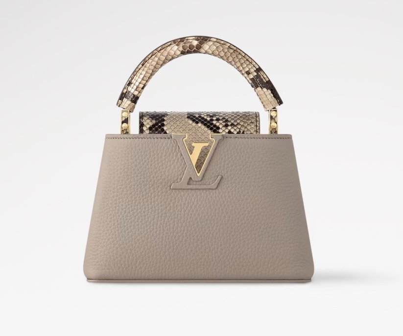 Louis Vuitton Capucines Mini SL. T.EX.PY.GA