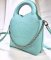 Tiffany & CO Mini Tote Bag
