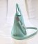 Tiffany & CO Mini Tote Bag