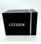 Citizen Promaster CB007-51H Radio